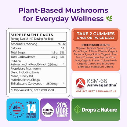 Radianz™ Mushroom Ashwagandha Gummies (LIMITED TIME OFFER)