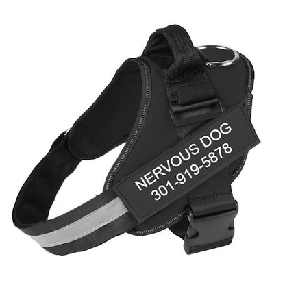 RADIANZ™   - CUSTOM FIT NO-PULL DOG HARNESS