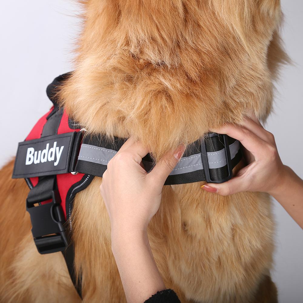 RADIANZ™   - CUSTOM FIT NO-PULL DOG HARNESS